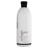 PROFIStyle COLLAGEN Anti-ageing effect shampoo with collagen