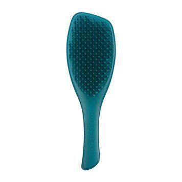 Hairbrush Tangle Teezer The Complete Carebrush Fine Radiant Teal TT0054