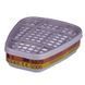 Hair Expert Replacement filter for organic vapor (6075), x2